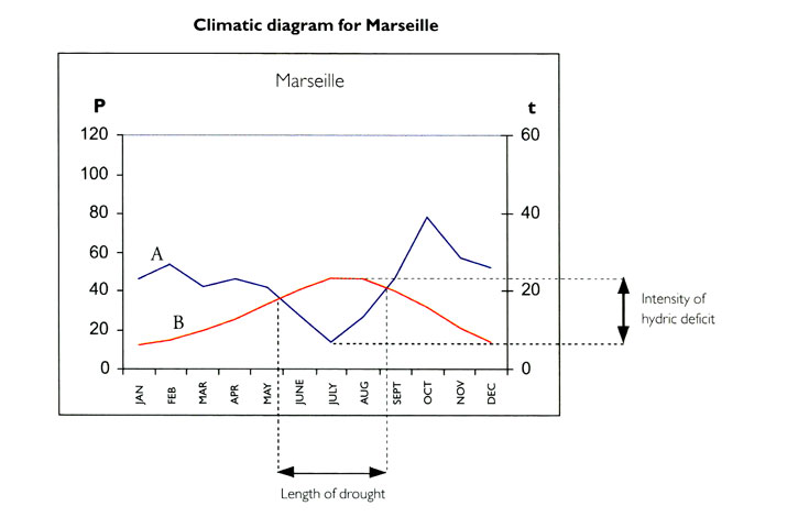 Marseille climate diagram, from Olivier Filippi, The Dry Gardening Handbook