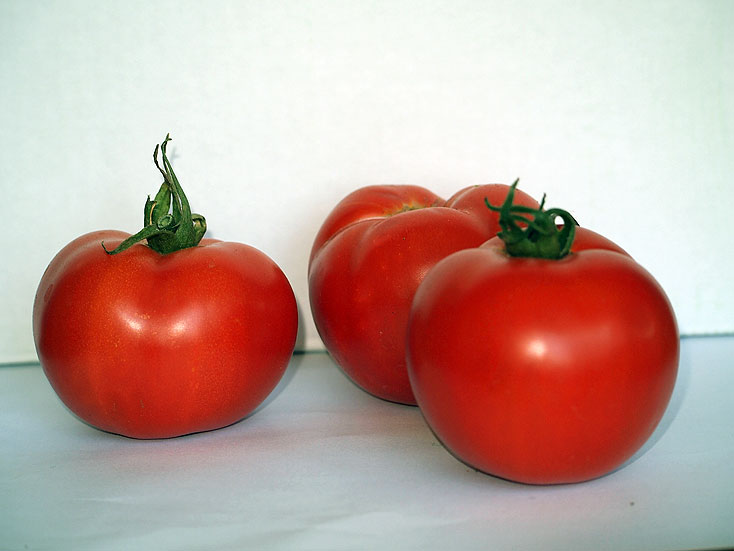Early Girl tomatoes
