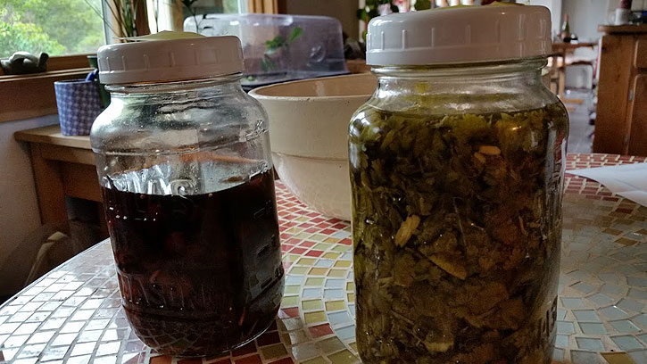 Canning jars in which herbs and fruit chunks are infusing. (Dates of preparation are are on the lids, not shown.)