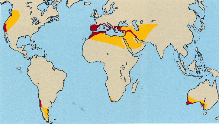 Mediterranean climate zones, from Olivier Filippi, The Dry Gardening Handbook