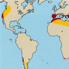 mediterranean zone map detail
