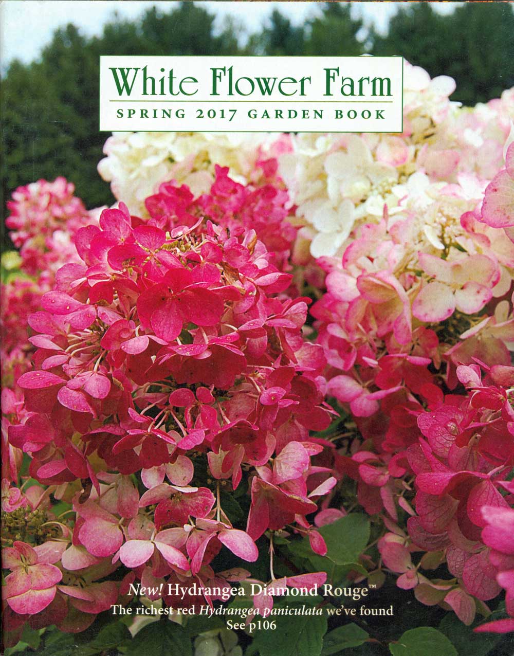 White Flower Farm, Connecticut, 8 x 10 in., 140 pp.