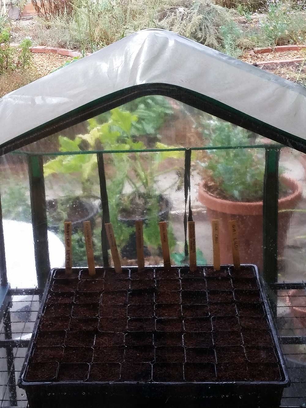 Flat in small greenhouse